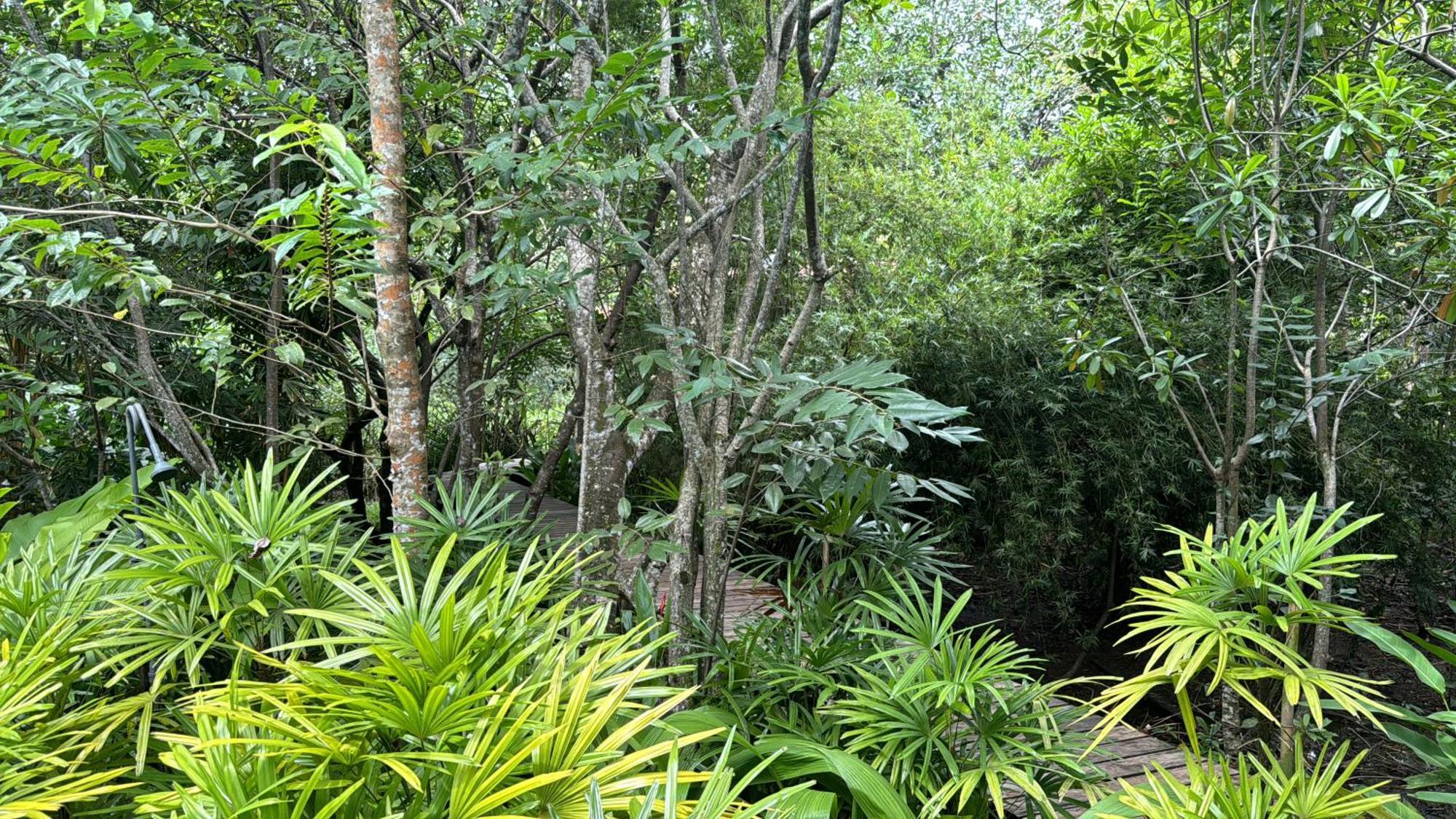 Ginganga Lodge Galle Exterior foto